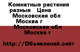 Комнатные растения разные › Цена ­ 100 - Московская обл., Москва г.  »    . Московская обл.,Москва г.